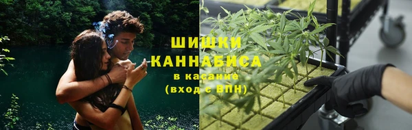 амф Белоозёрский
