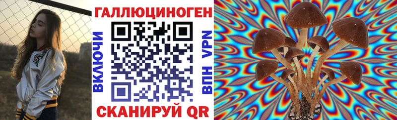 mega ссылка Буйнакск Галлюциногенные грибы мицелий